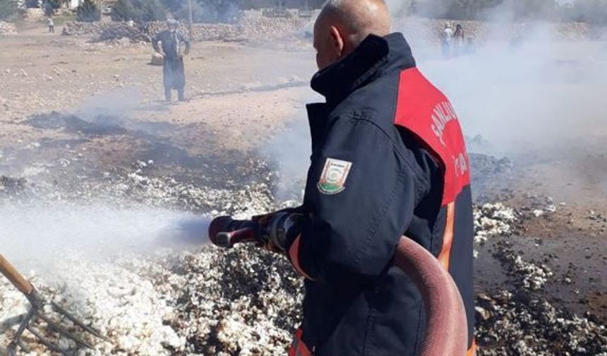 Şanlıurfa'da pamuklar alev alev yandı!